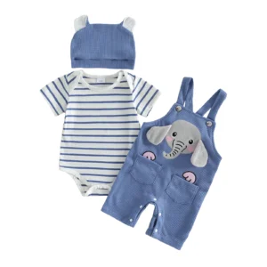 Baby Boy Embroidered Overall Pants 3 Piece Set